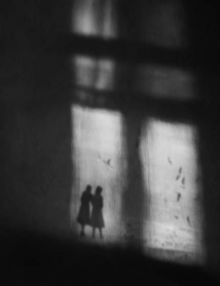 Window