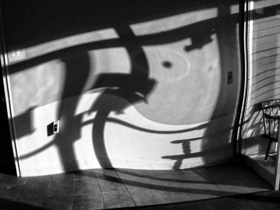 Institutionalized_again