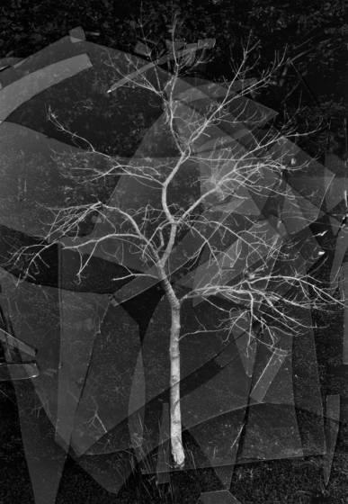 Broken_fractal