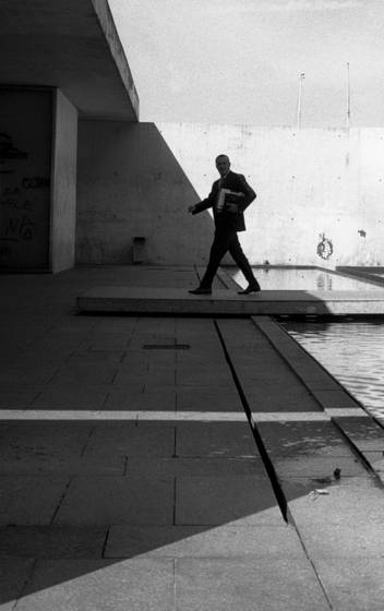 Disappearing_in_the_shadow
