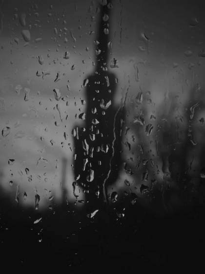 Rained_on