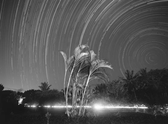 Stars