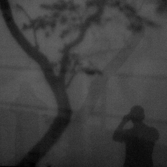 Reflection