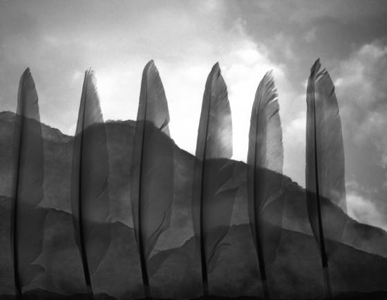 Paper_hill__los_angeles