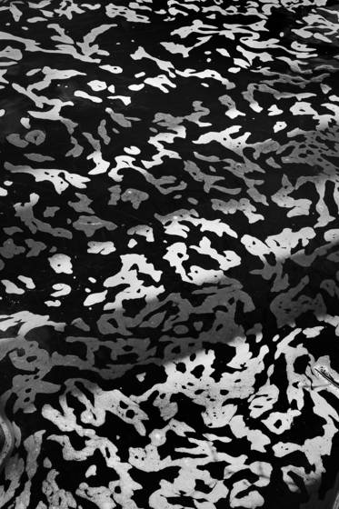 Pond_foam
