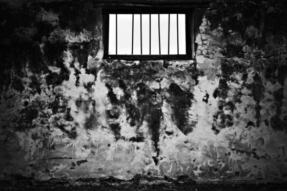 Borgesian_cell
