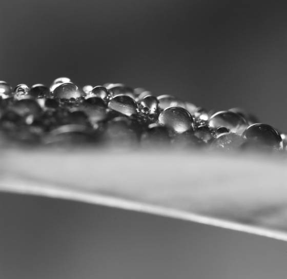 Untitled_16