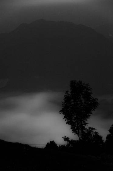 Morning_fog