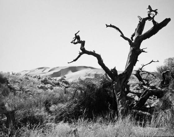 One_hard_land
