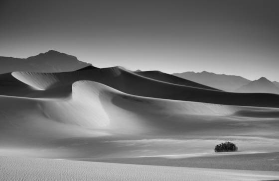 Mesquito_dunes