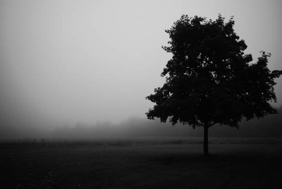 Morning_fog