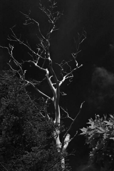 Other_side_of_daylight