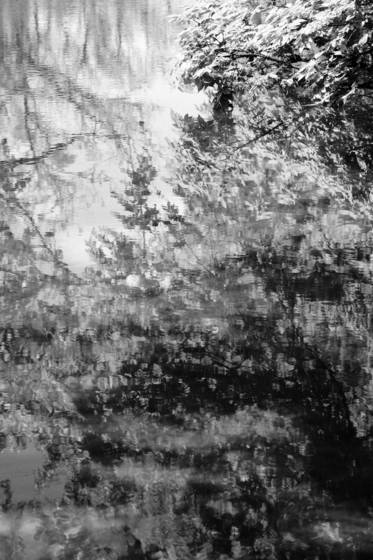 Abstract_1