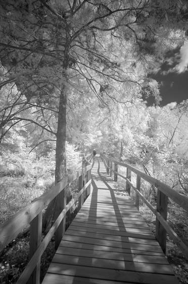 Debbie_breaux_bridge
