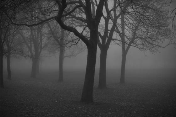 Untitled__2