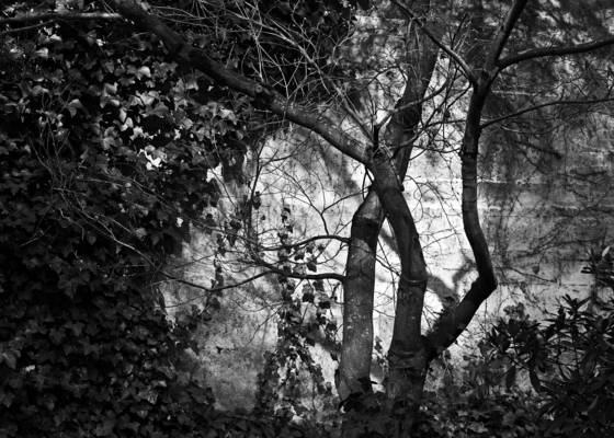 Temple_wall
