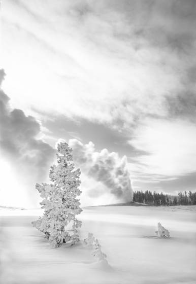 Old_faithful__yellowstone_national_park