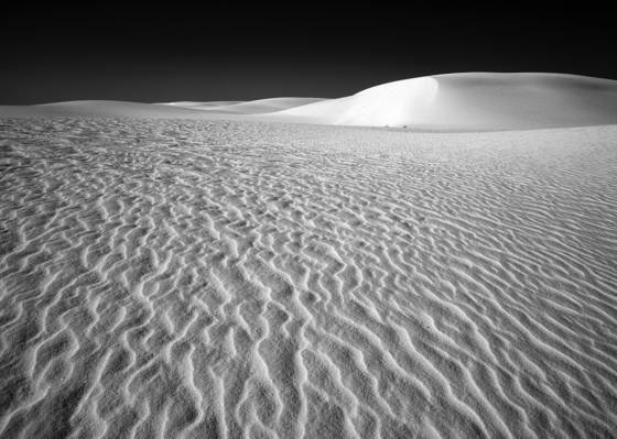Untitled_2