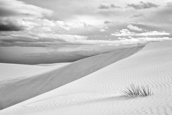 Untitled_4