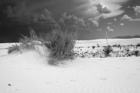 Storm