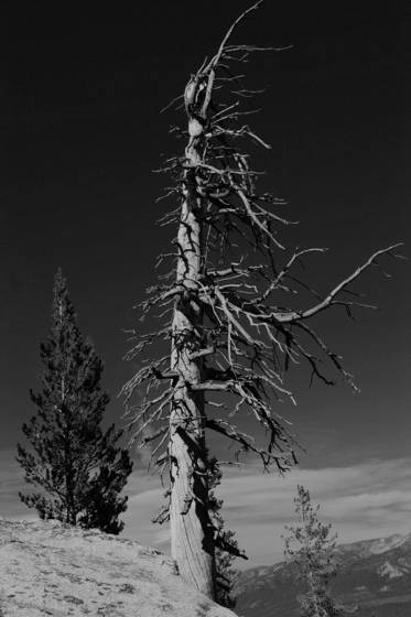 Untitled_2