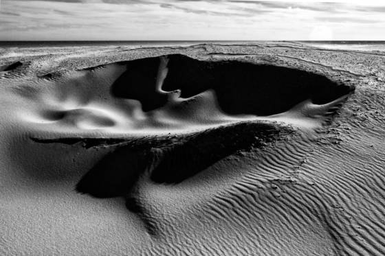 Dune