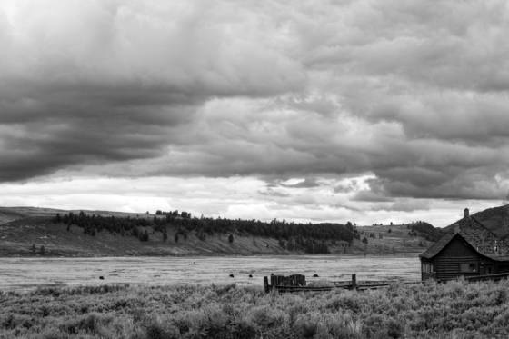 Storm_coming