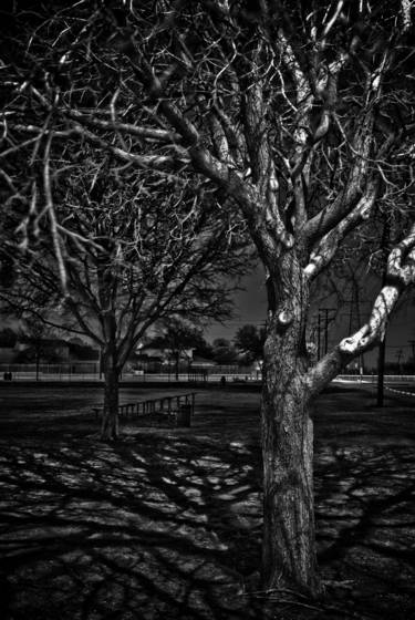 Night_shade