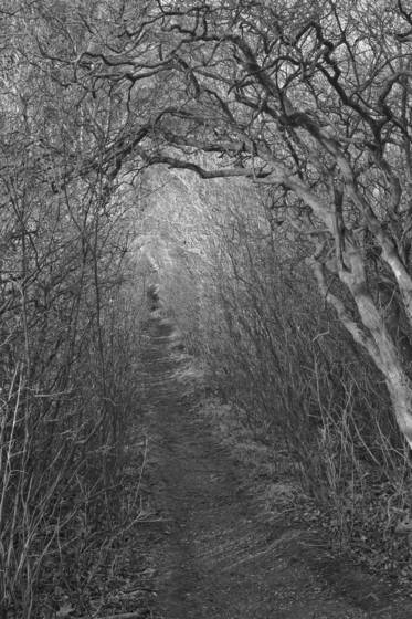 Untitled_5