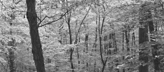 Untitled_7