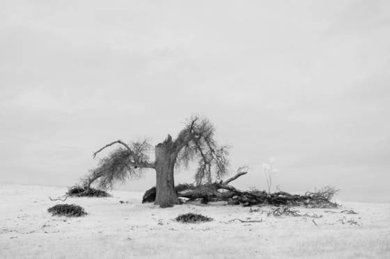 Untitled__3