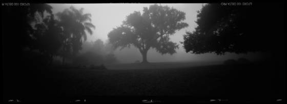 Pinhole__1