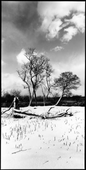 Snowy_lakeside