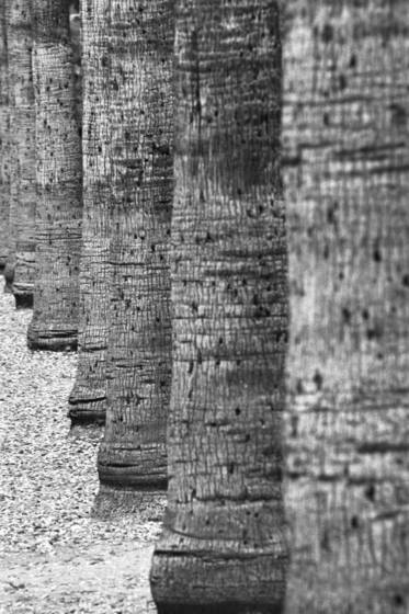 Untitled_4