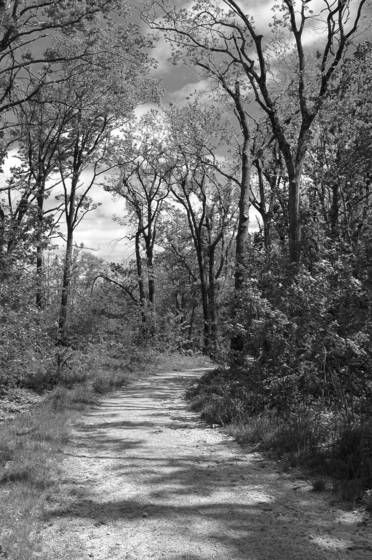 Mountain_road