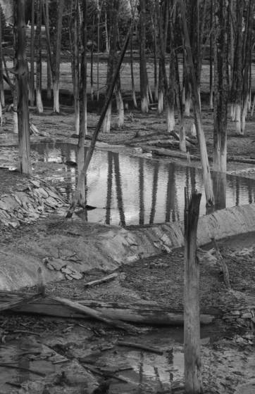 Norris_geyser_basin