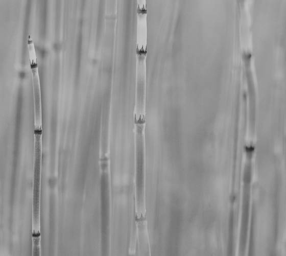 Untitled_2