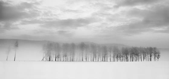 Winterlandscape