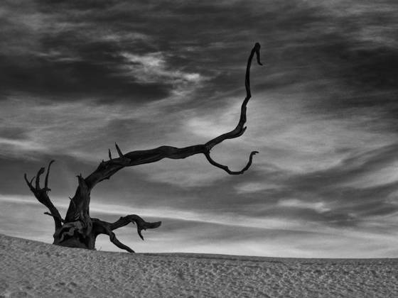 Reaching