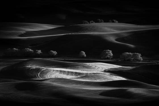 Shadowlands_2