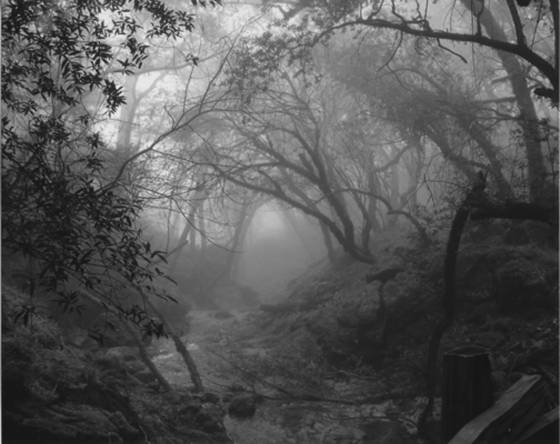 Cataract_falls