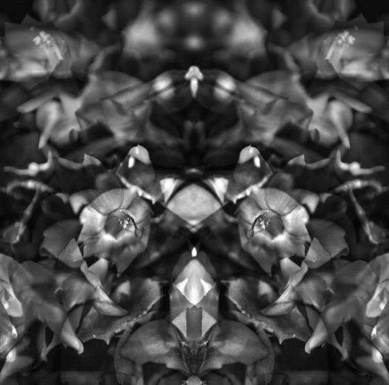 Untitled_2