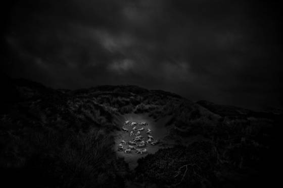 Untitled_05