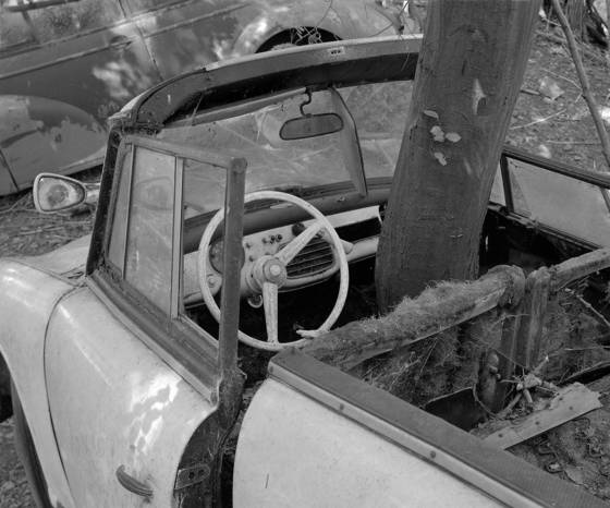 Convertible_with_tree