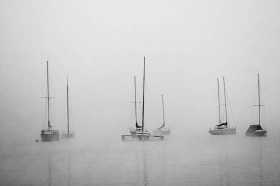 Anchored_in_the_mist