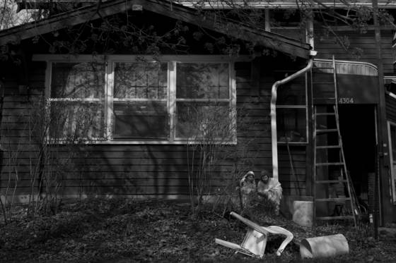 Frontyard_icons