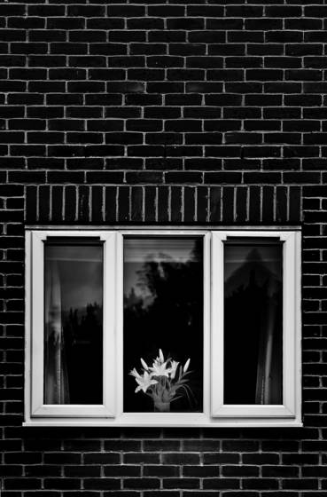 Untitled__3