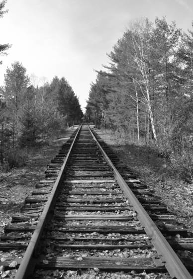 Forgotten_road