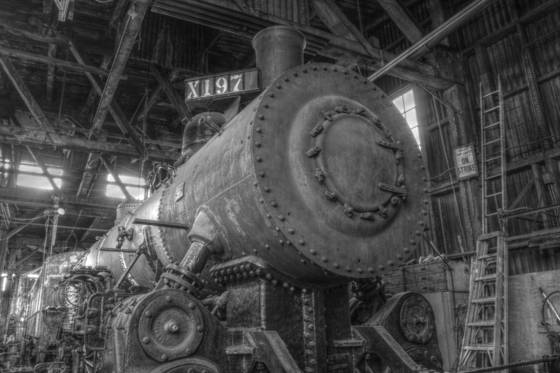 Orn197