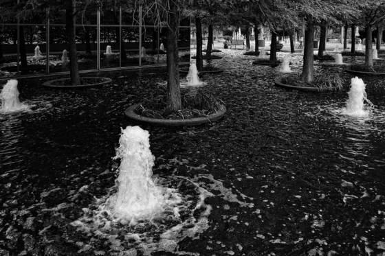 Water_place